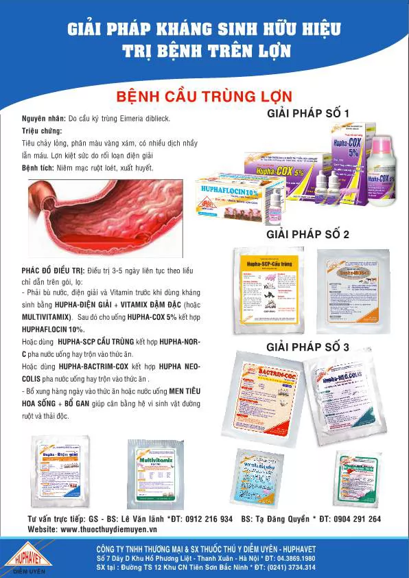 Giải pháp kháng sinh hữu hiệu trị bệnh Cầu trùng lợn